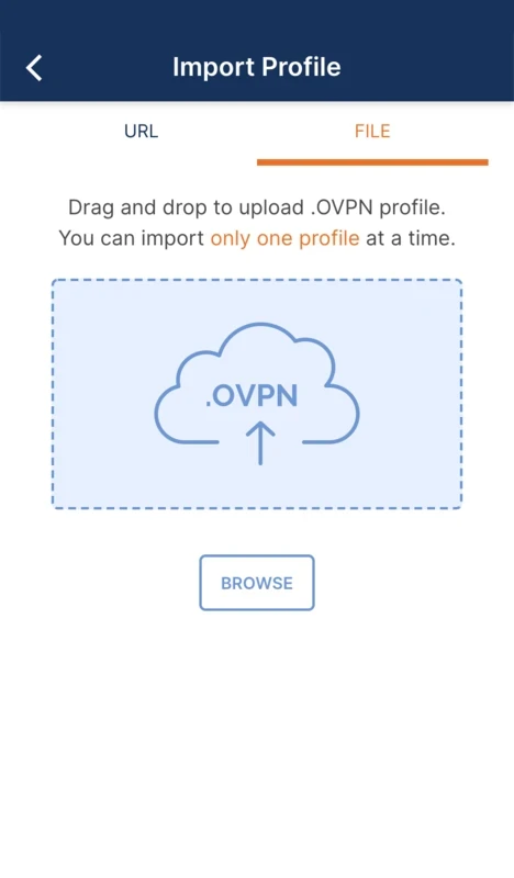 OpenVPN Connect — στιγμιότυπο οθόνης 4